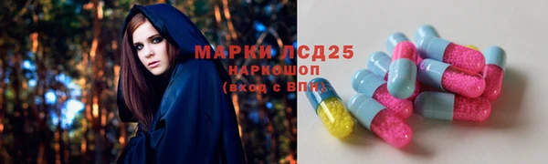 гашик Балахна