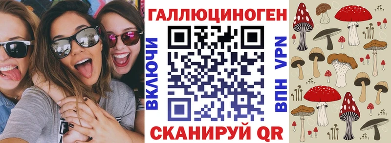 darknet формула Белово Галлюциногенные грибы MAGIC MUSHROOMS OMG онион